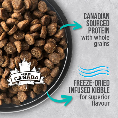 Thức Ăn Cho Mèo Trưởng Thành Nutrience lnfusion Bao 500g - 2.27kg Vị Gà Tây Rau Củ Trái Cây Tự Nhiên Giúp Mượt Lông Tiêu Búi Lông