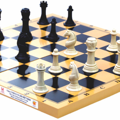 Bàn Quốc Tế Lớn Liên Hiệp Thành BQTL