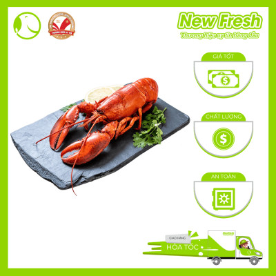 [GIAO NHANH HCM] Tôm Hùm Baby Canada Hấp - Túi 1Kg