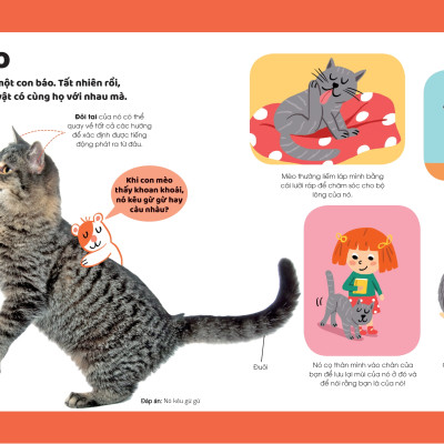 Sách - Khám Phá Đầu Tiên Của Tớ Về...Động Vật