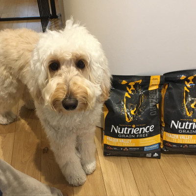 Thức Ăn Hạt Cho Chó - Nutrience Subzero Bao 2,27kg (Da Lông Bóng Mượt) - Thịt Bò, Cá Hồi, Rau Củ Quả, Trái Cây