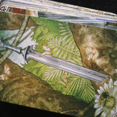 Bài ta rot Erotic Fantasy