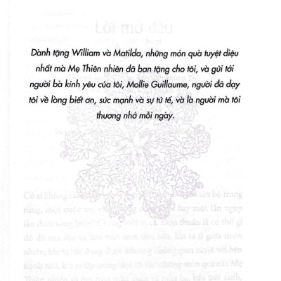 Liệu Pháp Rừng - Kết Nối Thiên Nhiên Và Trở Nên Hạnh Phúc Hơn