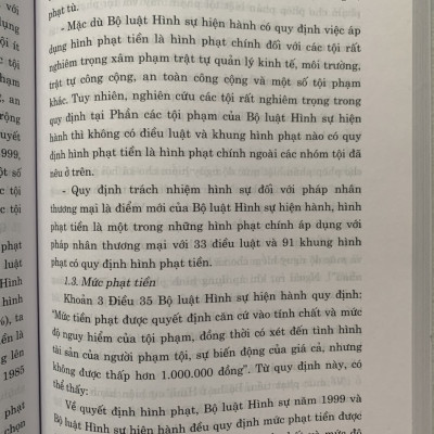 Sách - Hình phạt tiền trong pháp luật hình sự Việt Nam và thực tiễn áp dụng