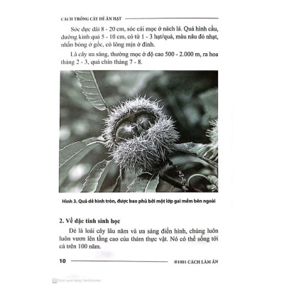 Sách - Cách Trồng Cây Dẻ Ăn Hạt - NXB Nông Nghiệp