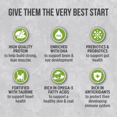 Thức Ăn Cho Mèo Con Nutrience Infusion Bao 500g Vị Thịt Gà Tây Rau Củ Trái Cây Tự Nhiên Giúp  Phát Triển Trí Não Hệ Tiêu Hoá