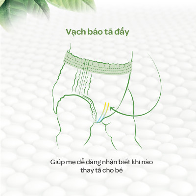 Combo 3 gói tã dán Huggies Nature Made size L54 miếng Vaca Baby House