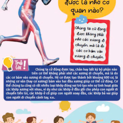 10 Vạn Câu Hỏi Vì Sao - Cùng Bé Khám Phá Kiến Thức Bách Khoa - Bí Mật Cơ Thể Người