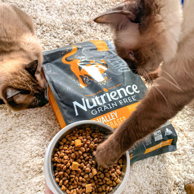 Thức Ăn Hạt Cho Mèo Nutrience Subzero Bao 5kg Vị Gà Tây và 6 Loại Cá Biển Trái Cây Rau Củ