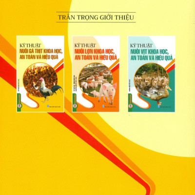 Kỹ Thuật Nuôi Gà Thịt Khoa Học, An Toàn Và Hiệu Quả (Tái bản 2024)