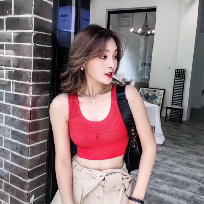 Áo Bra Nữ Free size Hàng Quảng Châu Giá Rẻ ( Dưới 53kg )