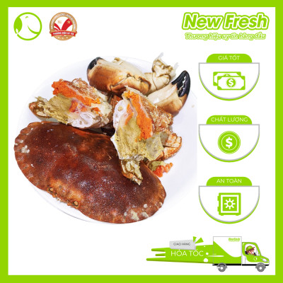 [GIAO NHANH HCM] Cua Nâu Nauy Siêu Gạch Đông Lạnh - 1 Con 500Gr