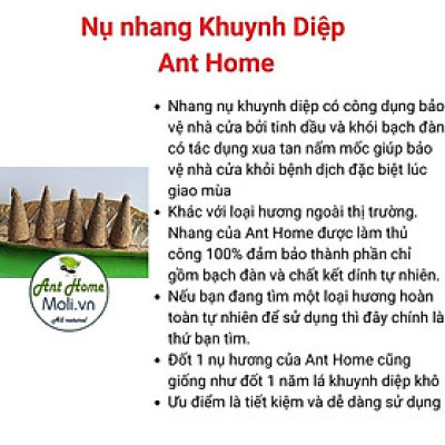 Tặng đĩa sòNụ Palo Santo thủ công - Túi 10 nụ, Gỗ trắc xanh nhập khẩu, giúp thanh lọc không gian