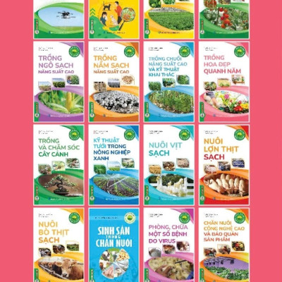 Nông Nghiệp Xanh Và Sạch - Trồng Hoa Đẹp Quanh Năm