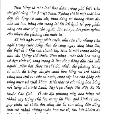 Kỹ Thuật Trồng Và Chăm Sóc Hoa Hồng