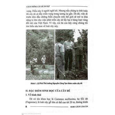 Sách - Cách Trồng Cây Dẻ Ăn Hạt - NXB Nông Nghiệp