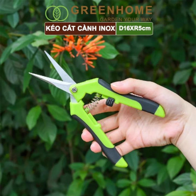 Kéo Cắt Cành GreenHome, D16,5xR4,5cm, Inox, Mũi Nhọn, Siêu Bén, Không Gỉ, Có Khoá An Toàn, Nhiều Màu Lựa Chọn