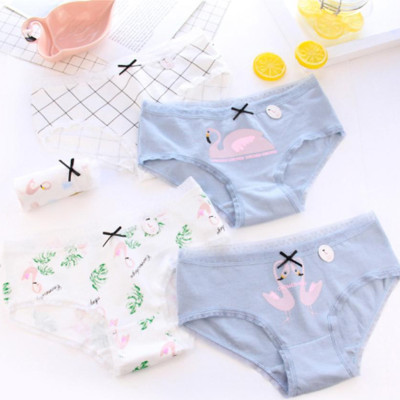 Set 5 quần chip nữ cotton siêu thoáng siêu xinh