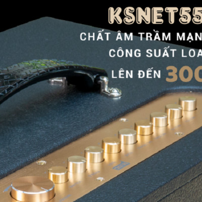 Dàn âm thanh di động xách tay ACNOS KSNET550