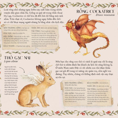 Sách - Cẩm Nang Về Sinh Vật Huyền Bí - Bìa Cứng