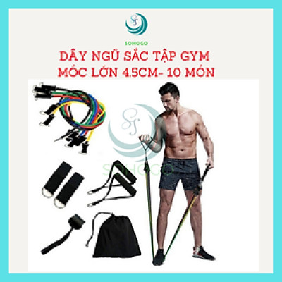 Dây Đàn Hồi Tập Gym+ Tặng Kèm 1 Bộ Dây Tập Thể Lực 5 Màu - Bộ 11 Dây Kéo Tập Thể Dục, Dây Cao Su Tập Gym, Dây Đàn Hồi Tập Thể Hình, Dây Đàn Hồi Tập Gym, Bộ Dây Tập Thể Lực 11 Món