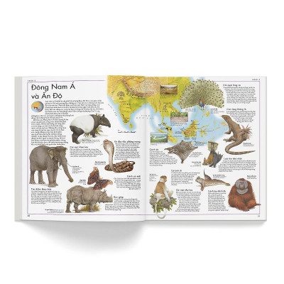 Sách - Atlas Động Vật - Đông A