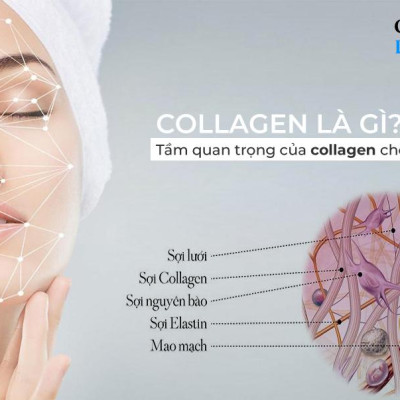 [Freeship Xtra] COLLAGEN Bidanki Green+ Nhật bản (dạng nước): Hấp Thụ Nhanh, Đẹp Da, Giữ Dáng, Hạn Chế Quá Trình Lão Hóa Da