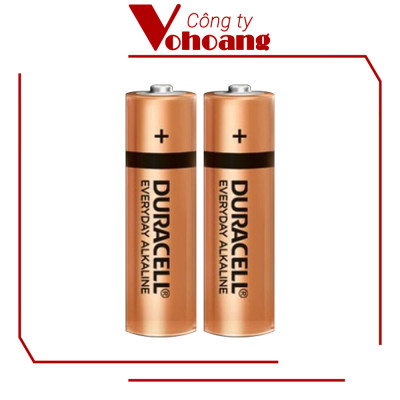 Pin AA Duracell Everyday , Pin Tiểu vỉ 2 viên cho máy nghe nhạc, chuột không dây, bàn phim - Hàng Chính Hãng