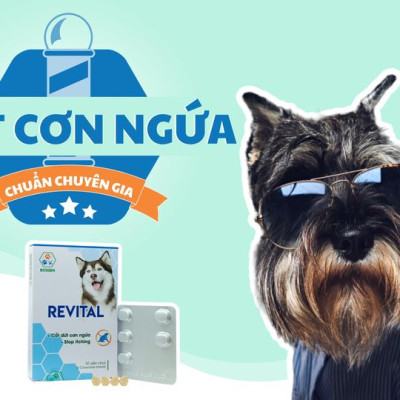 BOSSEN - Revital Thực Phẩm Hỗ Trợ Giảm Ngứa cho Chó - Hộp 10 viên