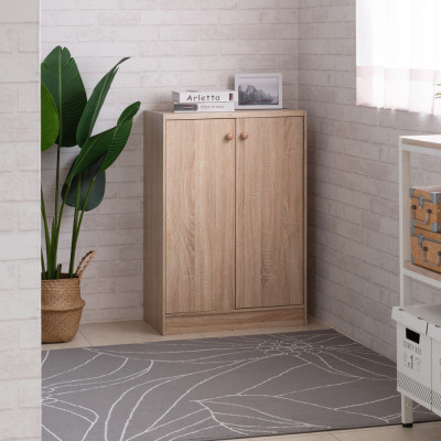 TỦ GIÀY 5 TẦNG 2 CÁNH MỞ HIỆN ĐẠI ECOFURNIX GT2118