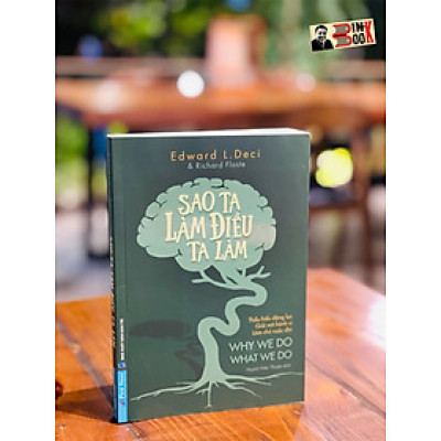 SAO TA LÀM ĐIỀU TA LÀM - Edward L. Deci - First News – bìa mềm