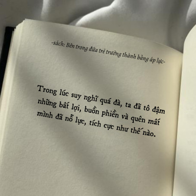 Combo Bên Trong Đứa Trẻ Trưởng Thành Bằng Áp Lực và Công Bằng Trên Đời Là Do Bạn Nỗ Lực Giành Lấy ( Tặng kèm sổ tay xương rồng ) - NHBook