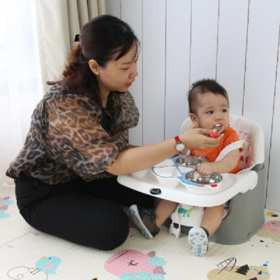 Ghế ăn đa năng 3in1 Mastela 1016