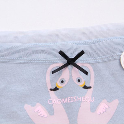 Set 5 quần chip nữ cotton siêu thoáng siêu xinh