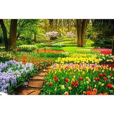 Tranh Treo Tường Phong Cảnh LN0447