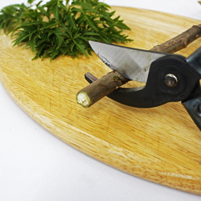 Kéo cắt cành cao cấp Nhật Bản Chikamasa PST-8 chiều dài lưỡi 45mm - lưỡi thép carbon chất lượng cao siêu bén - cắt ngọt, không bám dính, liền sẹo nhanh