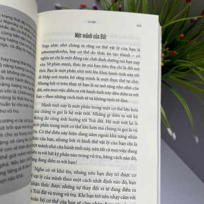 INNER ENGINEERING - CHỈ DẪN SỐNG AN VUI CỦA MỘT YOGI – Sadhguru – Khánh Trang dịch - Thái Hà - NXB Thế Giới