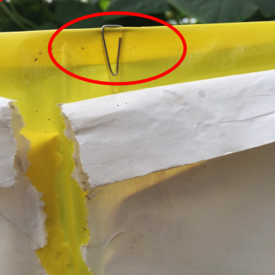 Keo Bẫy Bọ Phấn Trắng Israel Gây Hại Dưa Lưới (cuộn 20 mét) và bẫy các loại côn trùng trong nông nghiệp khác 