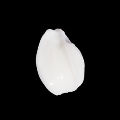 Dầu Xả myKella Dưỡng Tóc Óng Ả Chiết Xuất Sacha Inchi 300ml