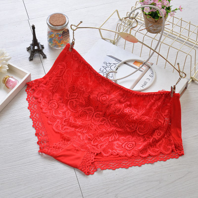 Quần Lót Nữ Nguyên Ren Cao Cấp 333 – Siêu Mềm, Co Giãn 4 Chiều, Ôm Dáng Thon Gọn