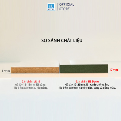 Kệ Gỗ Hiện Đại Với Thiết Kế Hình Cung Tròn Độc Đáo, Sáng Tạo Thương Hiệu SIB Decor KS310