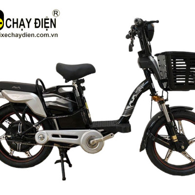 XE ĐIỆN AVA SPORT