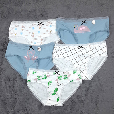 Set 5 quần chip nữ cotton siêu thoáng siêu xinh