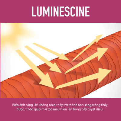 Dầu Hấp 60s Giữ Màu Tóc Nhuộm Goldwell Color Extra Rich Dưỡng Tóc Bóng Mượt, Bền Màu Lâu Phai