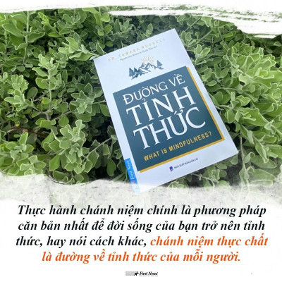 Sách - Combo Thức tỉnh điều vô hình + Đường về tỉnh thức - FirstNews