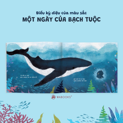 Combo (4 Tập): Sách Ehon - Điều Kỳ Diệu Của Màu Sắc Dành Cho Trẻ Từ 0 - 6 Tuổi