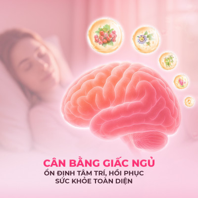 Viên uống cải thiện tình trạng mất ngủ và ngủ kém Powergra Gentle Dreams - Hộp 60 viên