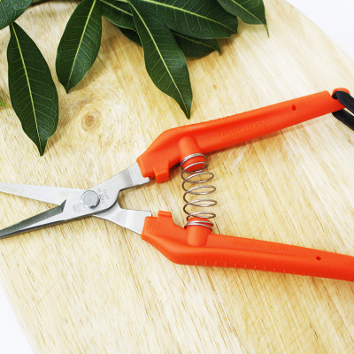 Kéo tỉa cành cao cấp Nhật Bản Chikamasa TP-530S