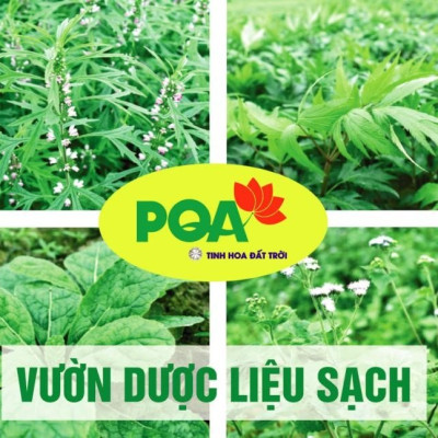 PQA Dưỡng Tâm An Thần là dược phẩm hỗ trợ dưỡng tâm, an thần, giúp tạo giấc ngủ ngon, ngủ sâu giấc cho người bị suy nhược thần kinh, mất ngủ, giấc ngủ đến chậm, hoặc không sâu giấc.