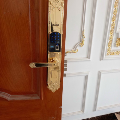 Khóa Thông Minh Đại Sảnh Tân Cổ Điển Kaimi DS101 - Hàng Chính Hãng